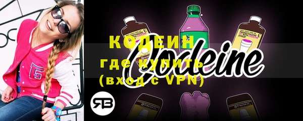 ПСИЛОЦИБИНОВЫЕ ГРИБЫ Кодинск