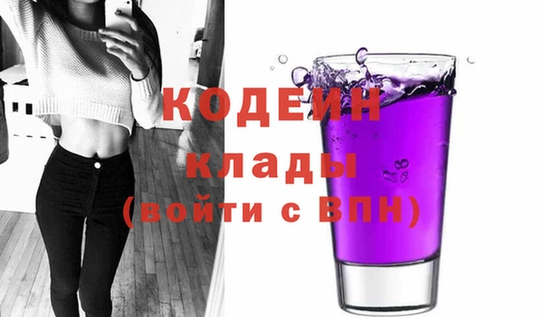 молекула духа Козельск
