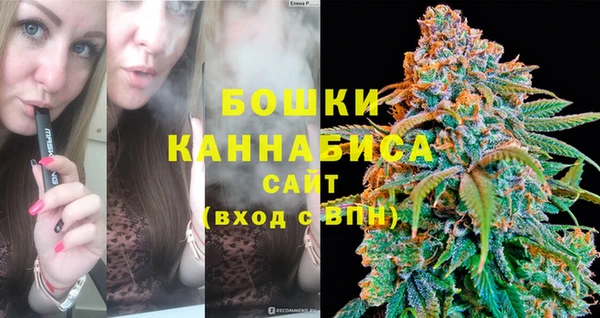 молекула духа Козельск