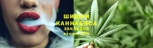молекула духа Козельск