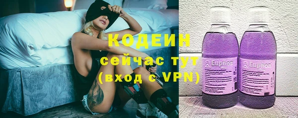 мдпв Киреевск