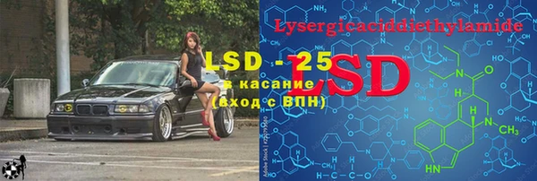 молекула духа Козельск