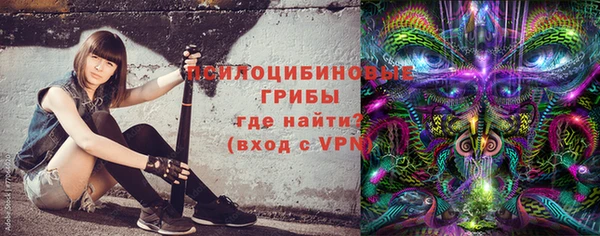 мдпв Киреевск