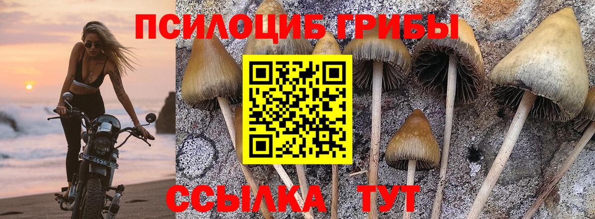 Крымск  Галлюциногенные грибы мухоморы  Вход с VPN  Псилоцибиновые грибы мицелий 
